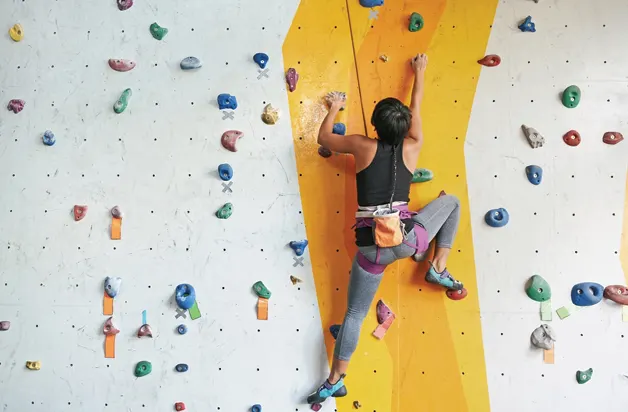 Parede de escalada com vias variadas